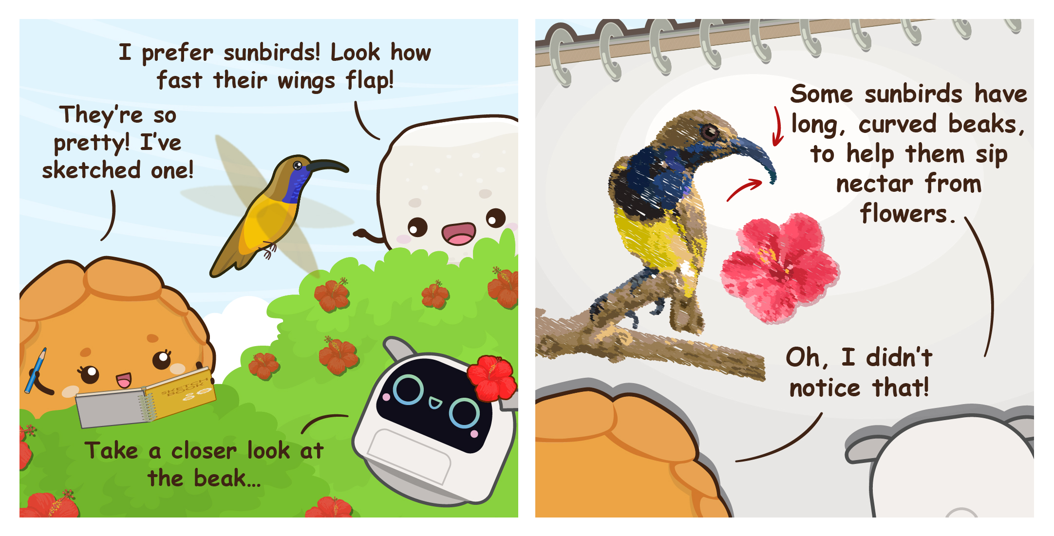 Two-panel comic where Pok Pok shows off a sunbird sketch, and Poodle points out how a sunbird's long, curved beak helps it sip nectar from flowers.